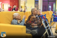 RUTA DE GATOS SOLIDARIO 2019 (15)