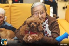 RUTA DE GATOS SOLIDARIO 2019 (18)