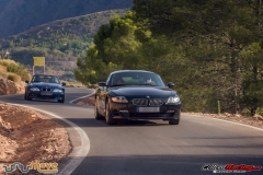 VII-Clasica-Puerto-de-La-Ragua-Bmw-Z-y-M-164