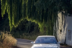 VII-Clasica-Puerto-de-La-Ragua-Bmw-Z-y-M-190