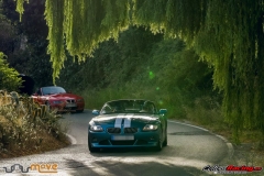 VII-Clasica-Puerto-de-La-Ragua-Bmw-Z-y-M-197