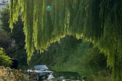 VII-Clasica-Puerto-de-La-Ragua-Bmw-Z-y-M-200
